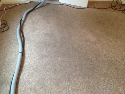 Carpet Cleaning Image